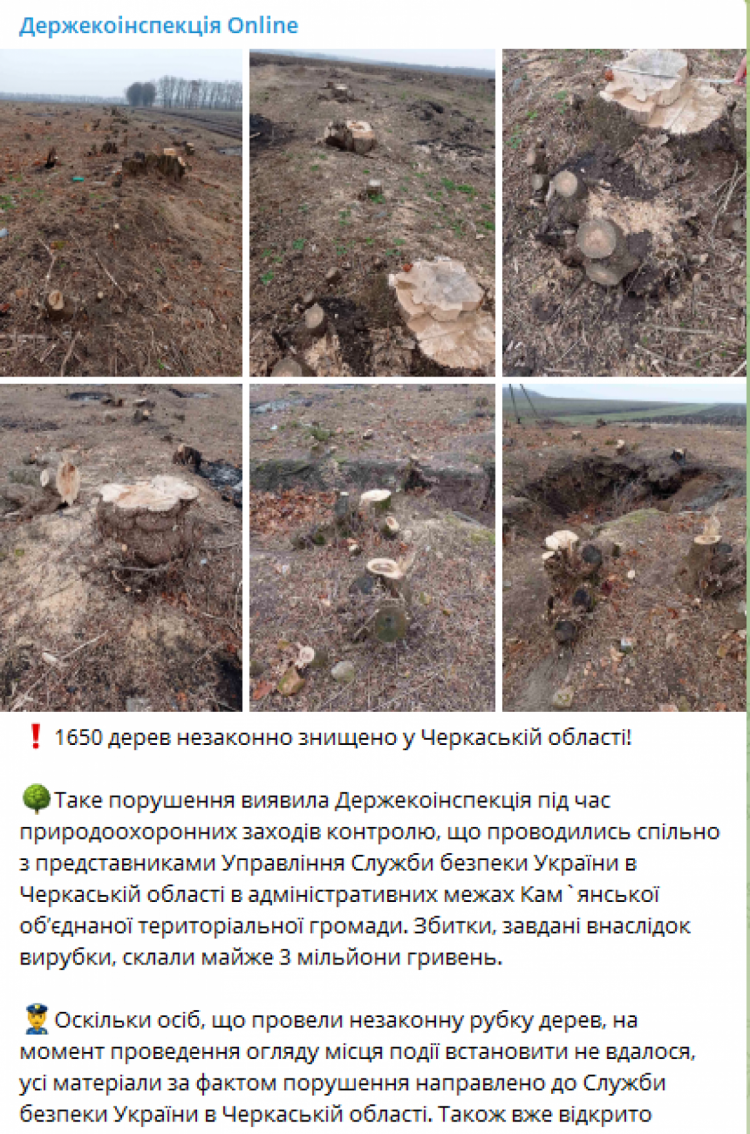 Незаконная вырубка деревьев в Черкасской области